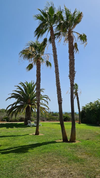 Gartenanlage Aldiana Club Andalusien
