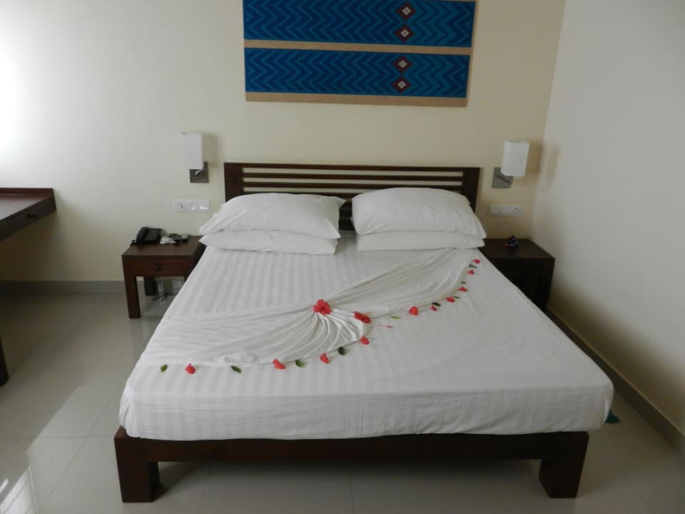 Bettendeko jeden Tag anders Club Hotel Dolphin