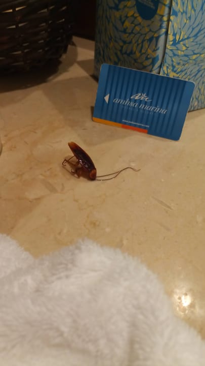 Zimmer Grand Paradise Playa Dorada