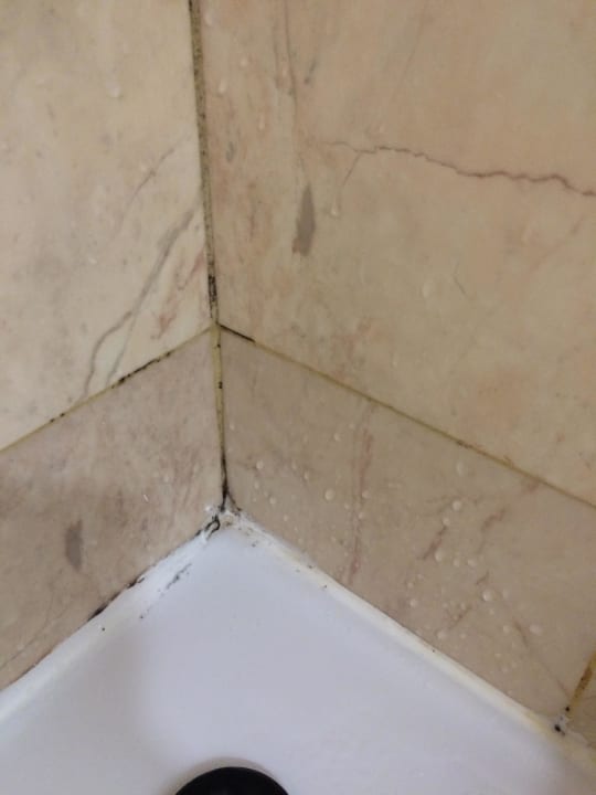 Schimmel Gloria Palace San Agustin Thalasso & Hotel