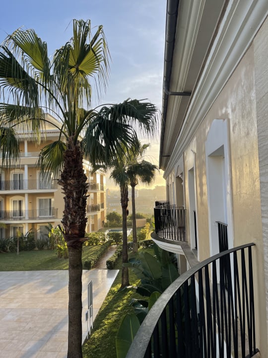 Gartenanlage Grupotel Playa de Palma Suites & Spa