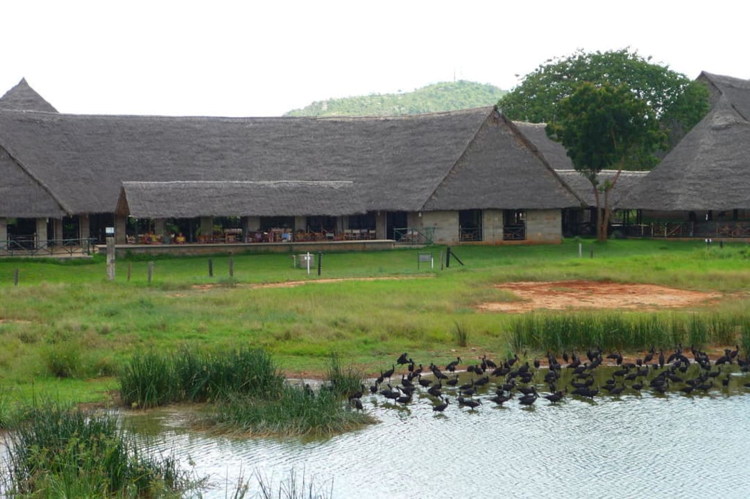 Blick zum Restaurant Voi Wildlife Lodge