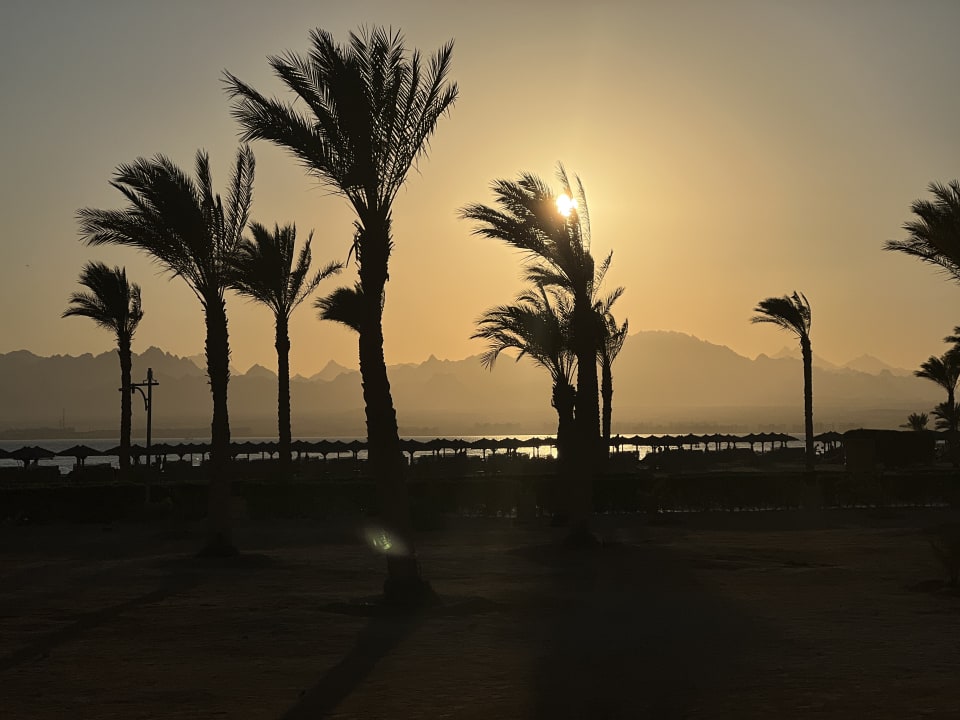 Ausblick ROBINSON SOMA BAY