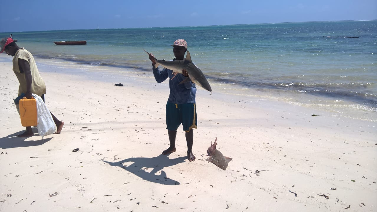 Fischer zeigt stolz seinen Fang Bahari Beach Hotel