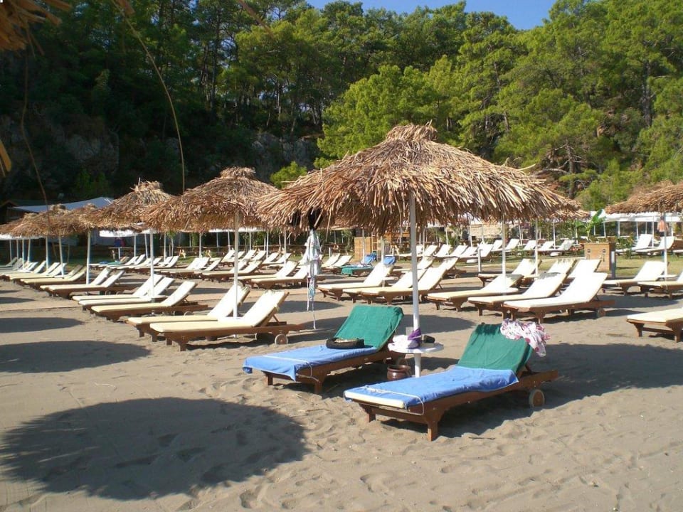 Strand TUI BLUE Seno - Adults Only