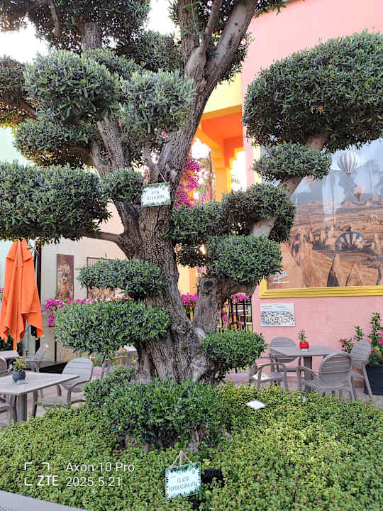 Außenansicht VONRESORT Golden Beach