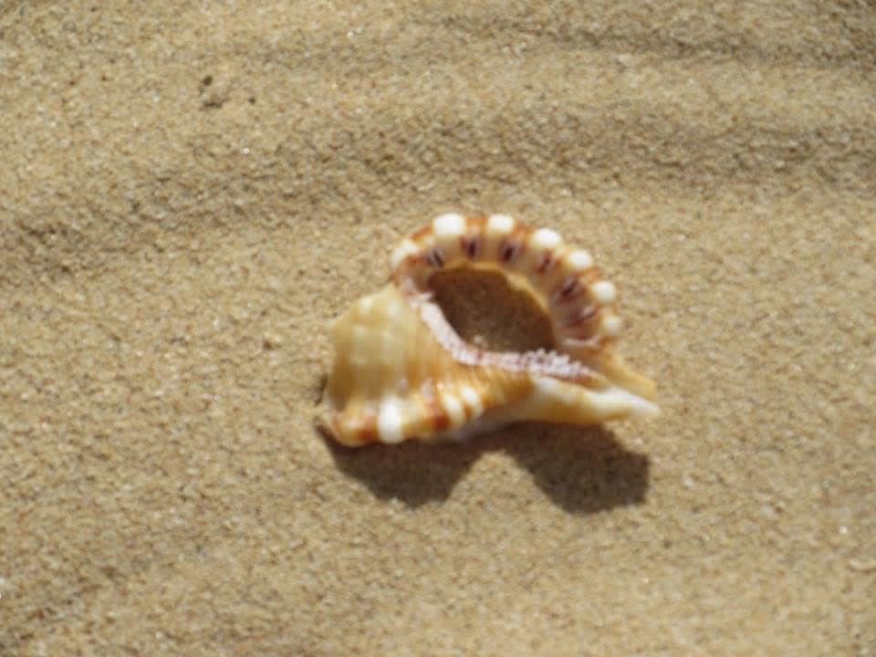 Strand Hotel Riu Touareg