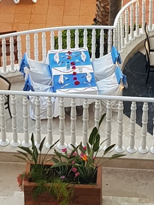 Gastro Arycanda Kirman Premium