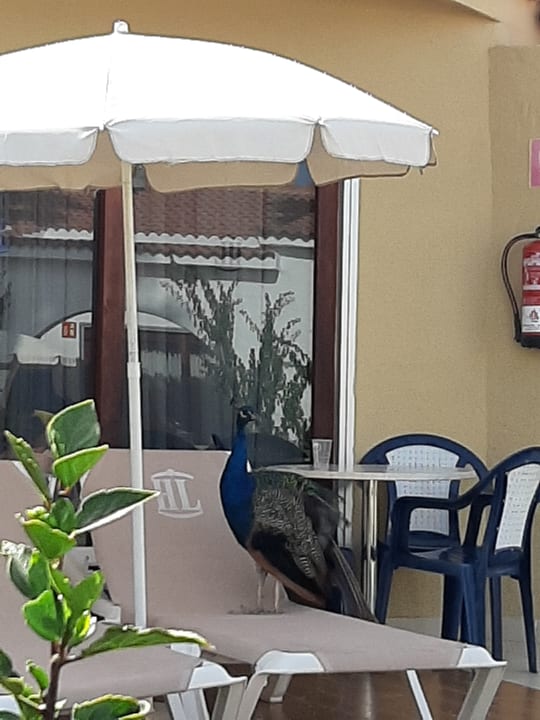 Sonstiges HL Miraflor Suites Hotel