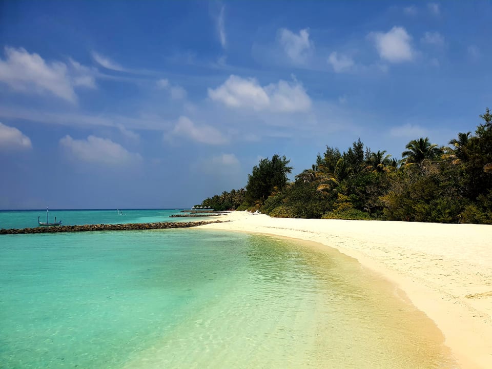 Strand Summer Island Maldives