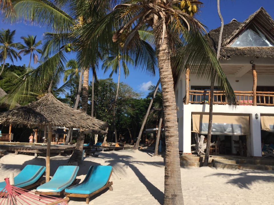 Gartenanlage Hotel WaterLovers Beach Resort