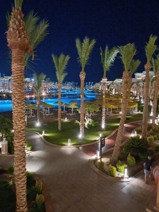 Pool Pickalbatros Palace Resort