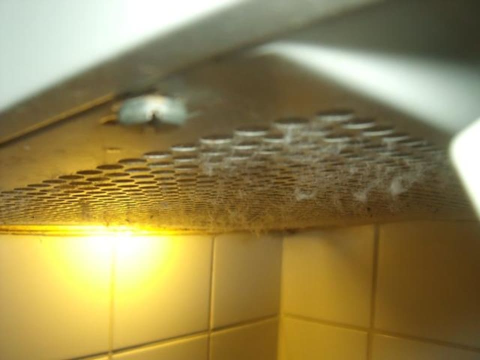 Dunstabzugshaube Center Parcs Park De Haan