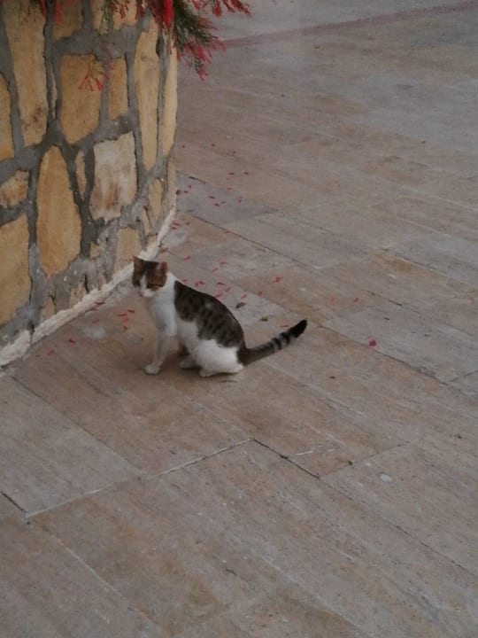 Sonstiges Seaden Corolla Hotel