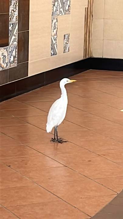 Sonstiges Sentido Caribbean World Soma Bay