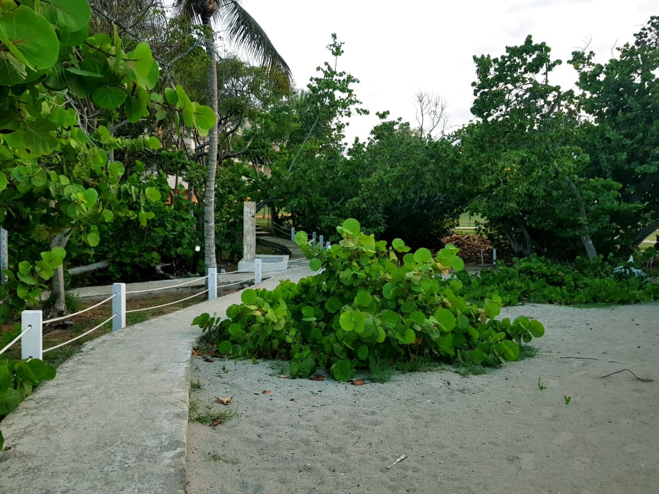 Strand Playa Vista Azul