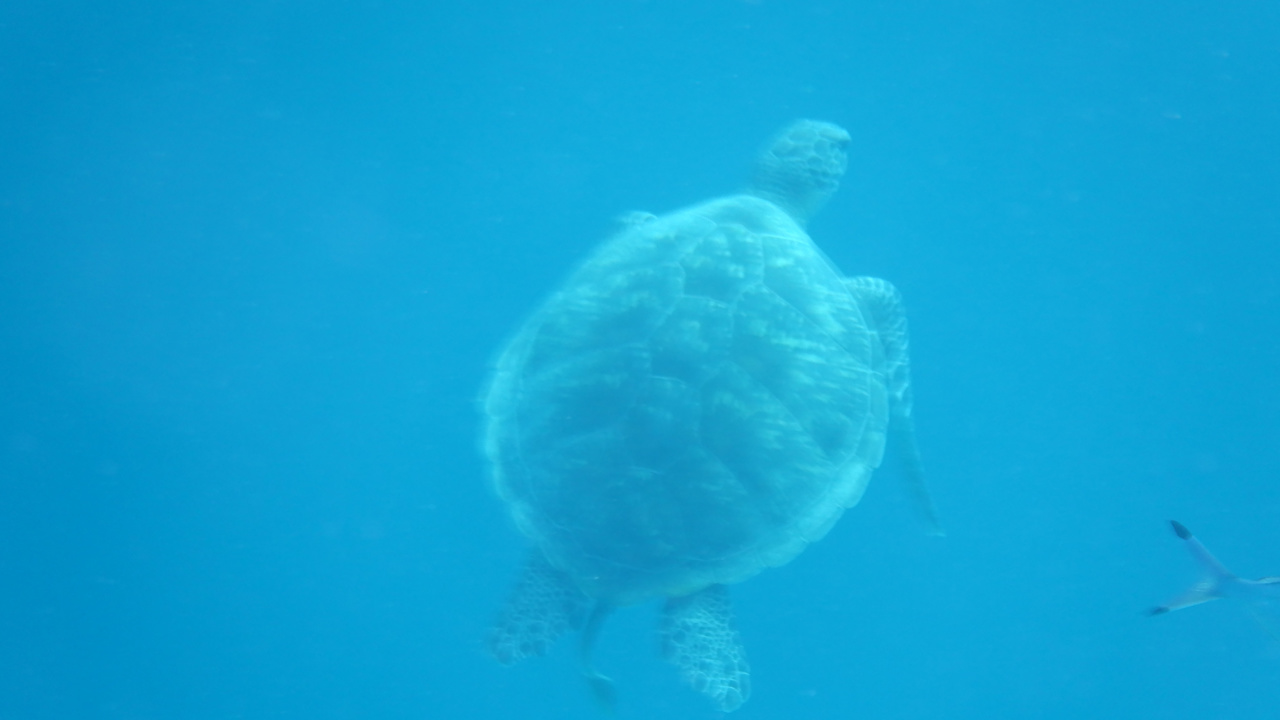 Sonstiges Casa Mare Resort