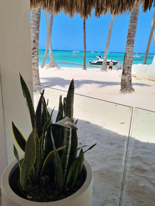 Ausblick Meliá Punta Cana Beach Resort - A Wellness Inclusive For Adults Only