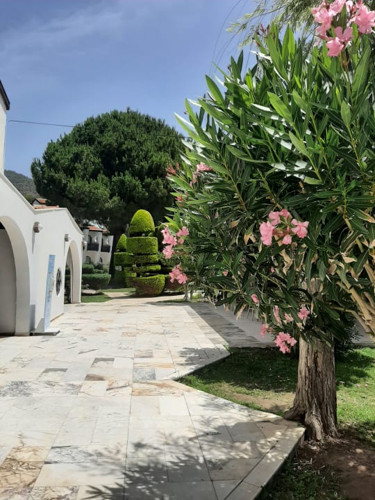 Gartenanlage Dogan Paradise Beach