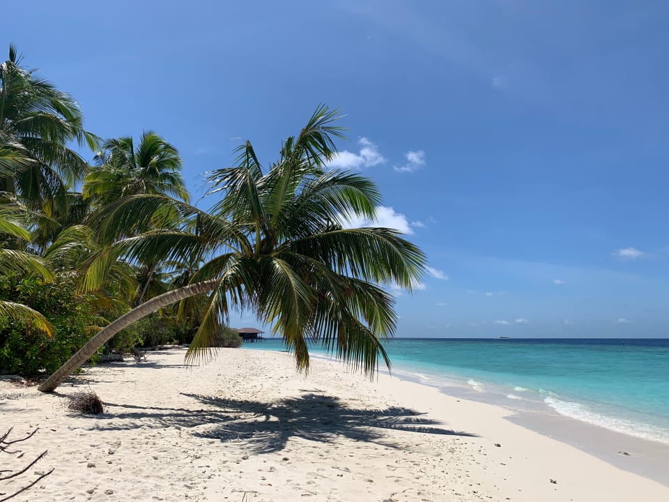 Strand Filitheyo Island Resort