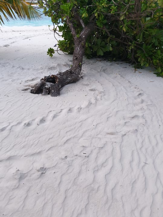 Strand Kuredu Island Resort & Spa