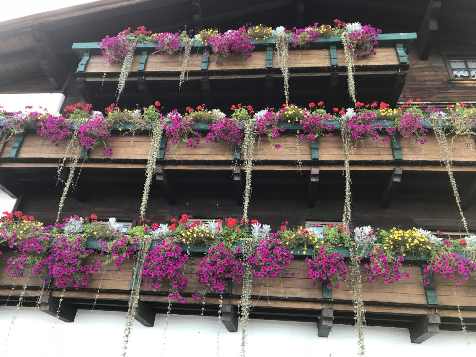 Außenansicht Alpengasthof Hotel Kopphütte