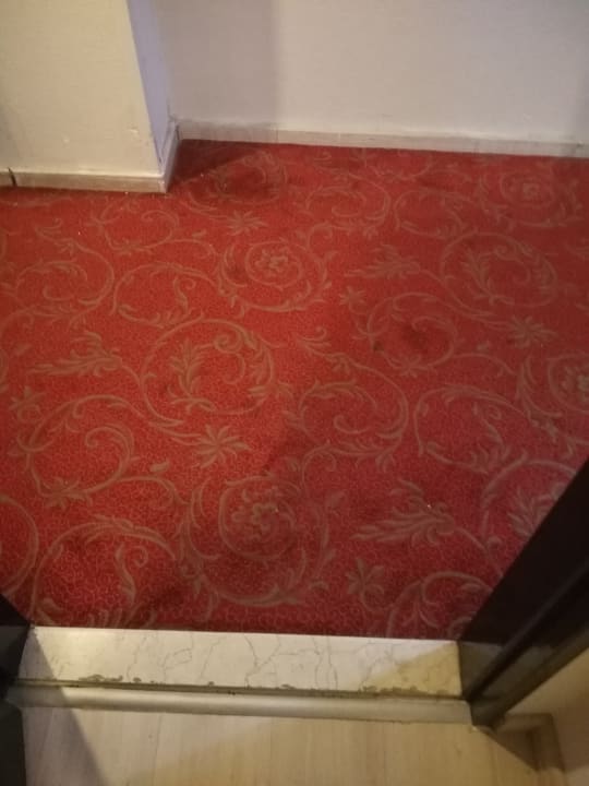 Lobby Asteria Collection Side