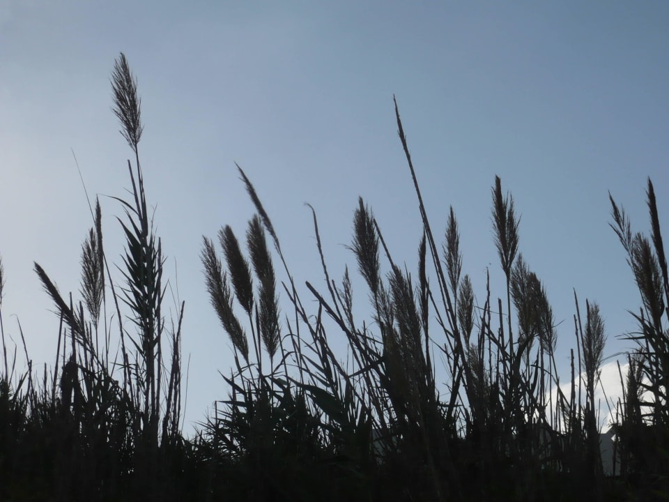 Wunderschöne Dünenansicht Mahdia Beach & Aquapark