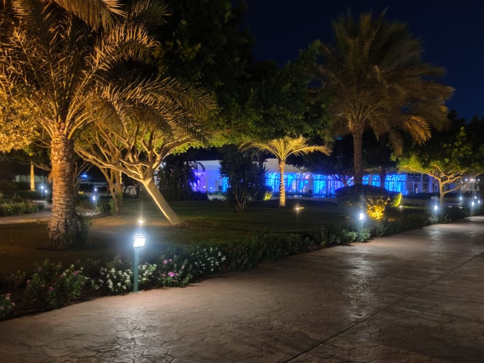 Gartenanlage Desert Rose