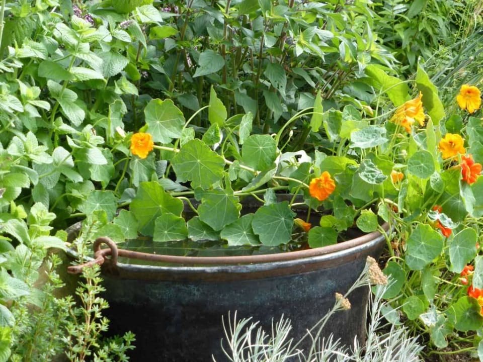 Garten Landhaus Kaulfuss Defereggental Landhaus Kaulfuss