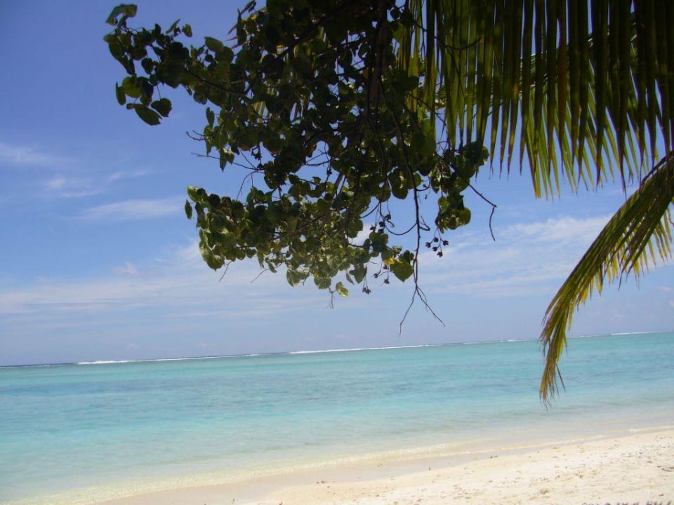 Strand Meeru Maldives Resort Island