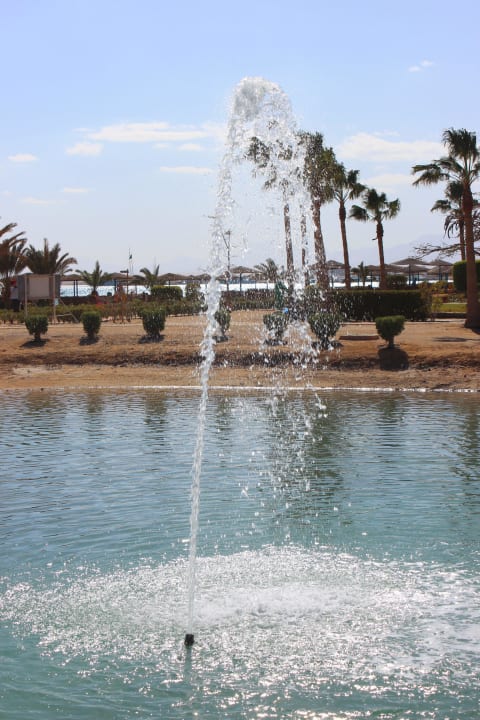 Ausblick beim Essen Club Paradisio El Gouna, Red Sea