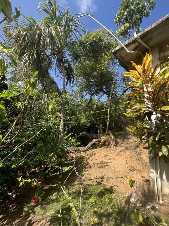 Gartenanlage Hostal Recuerdos del Tayrona