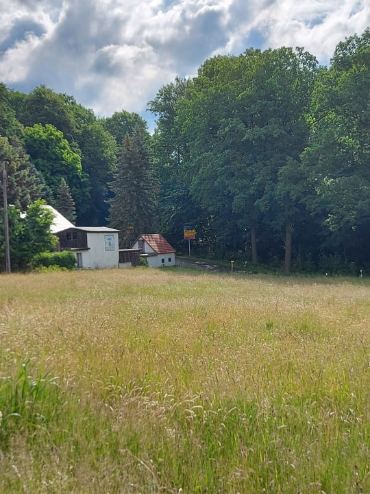 Ausblick Ringhotel Landhaus Nicolai