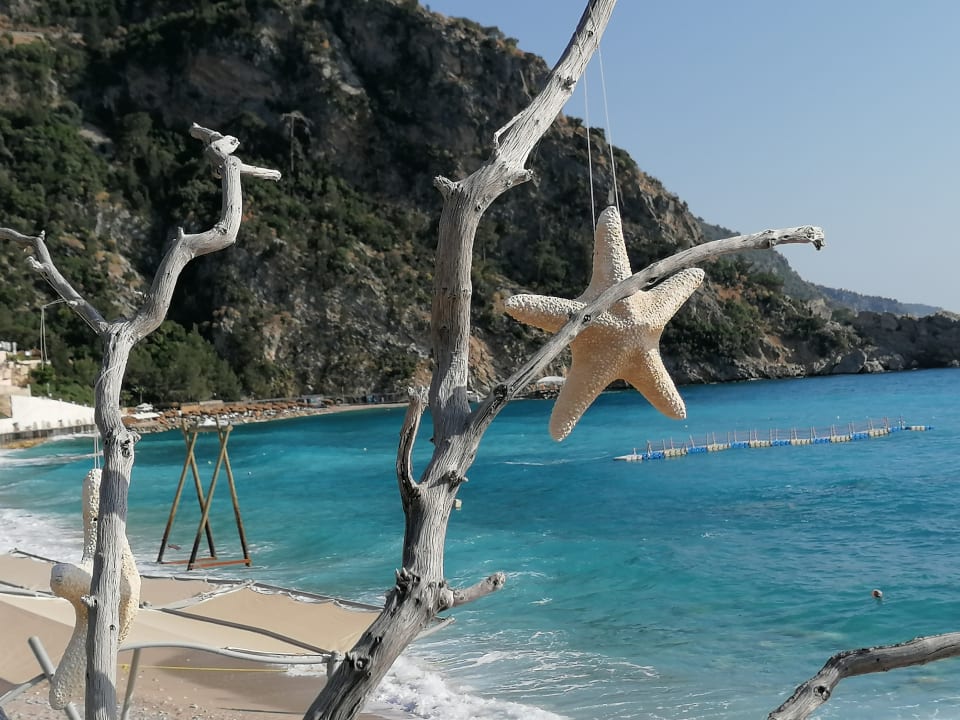 Strand Liberty Lykia Adults Only