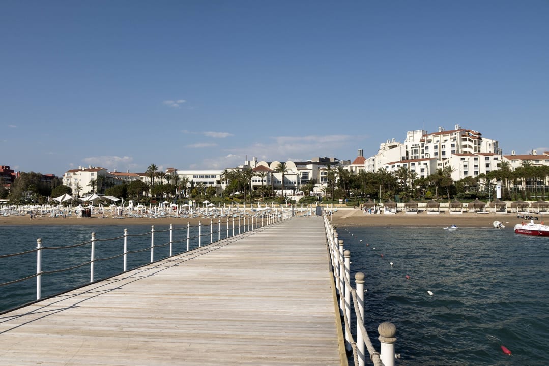 Sentido Perissia PALOMA Perissia