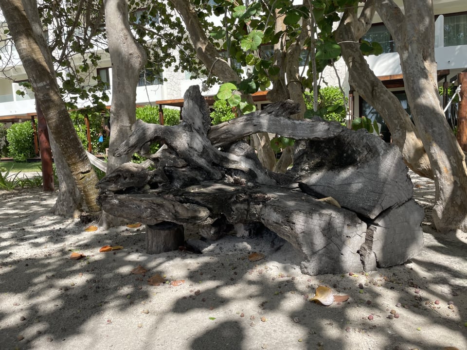 Gartenanlage Akumal Bay Beach & Wellness Resort