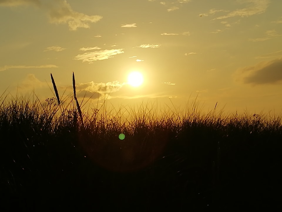 Strand Ferienwohnungen Ferienpark Weissenhäuser Strand