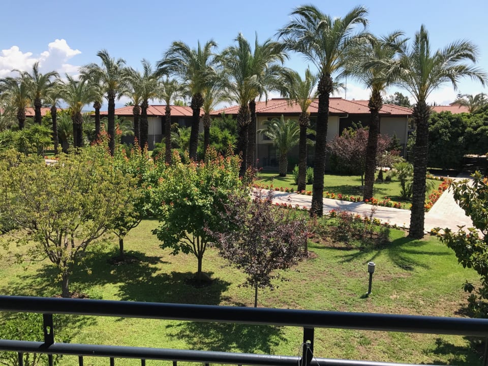 Zimmer TUI BLUE Palm Garden