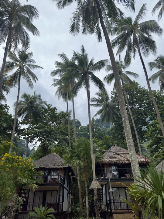 Außenansicht Hotel Thapwarin Resort