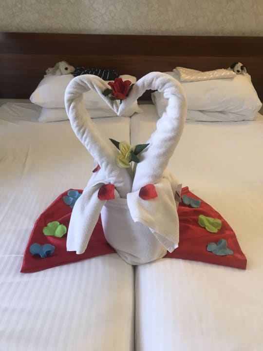 Zimmer Side Star Beach