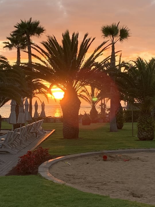 Gartenanlage Hotel Riu Palace Tenerife