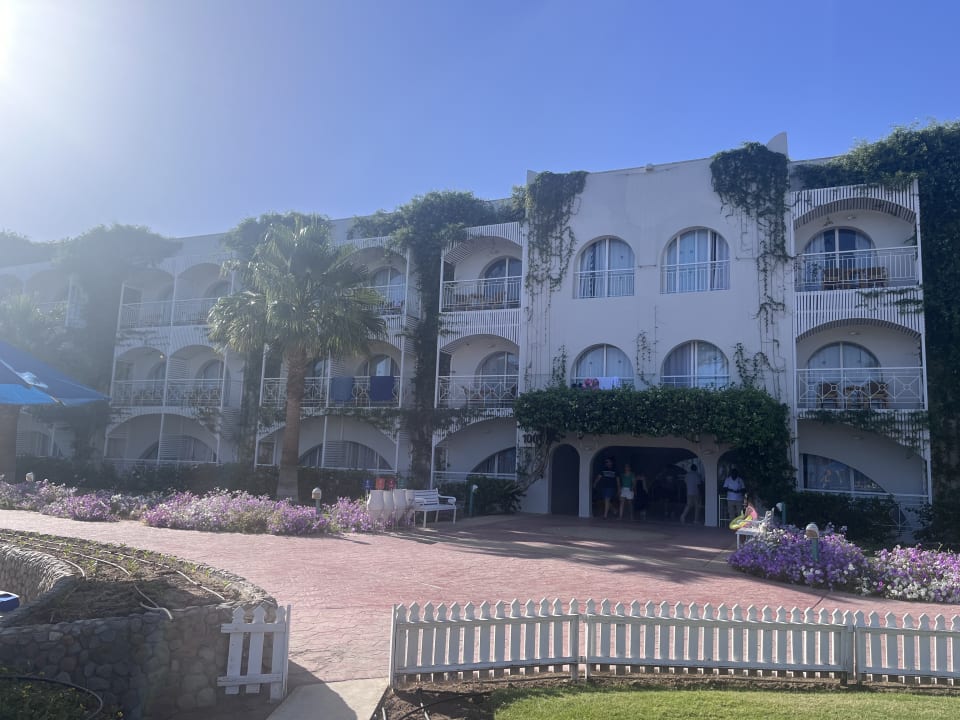 Außenansicht Desert Rose