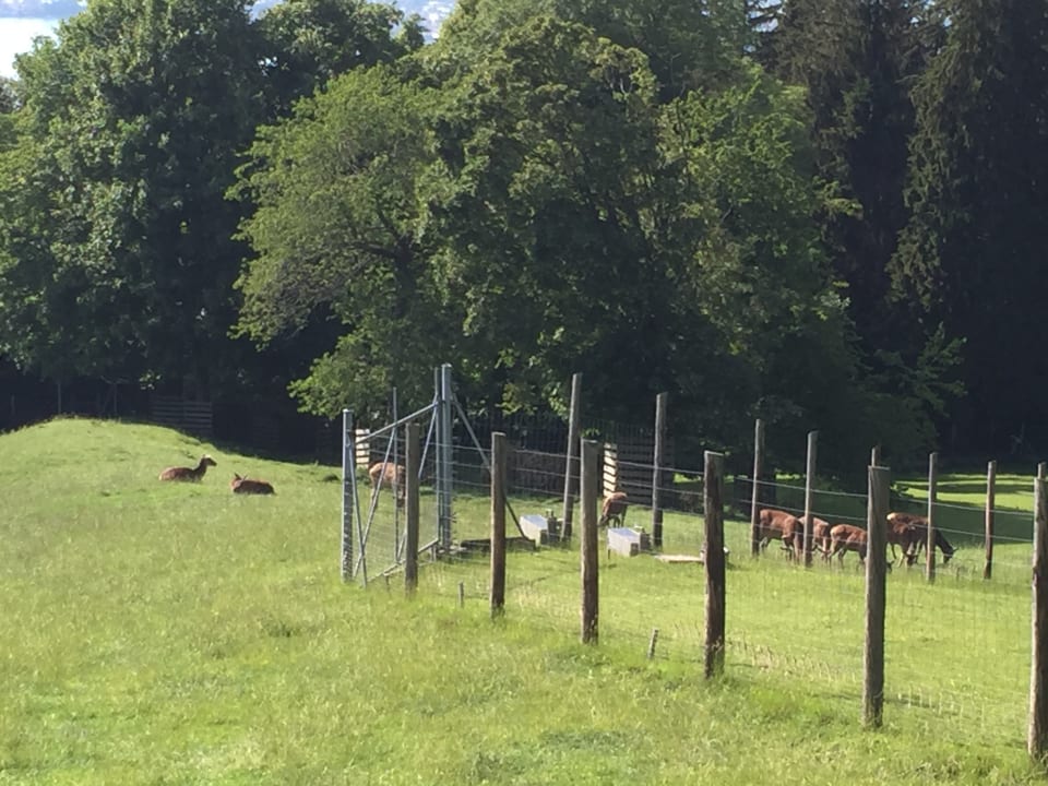 Sport & Freizeit Gasthof Pension Löwen