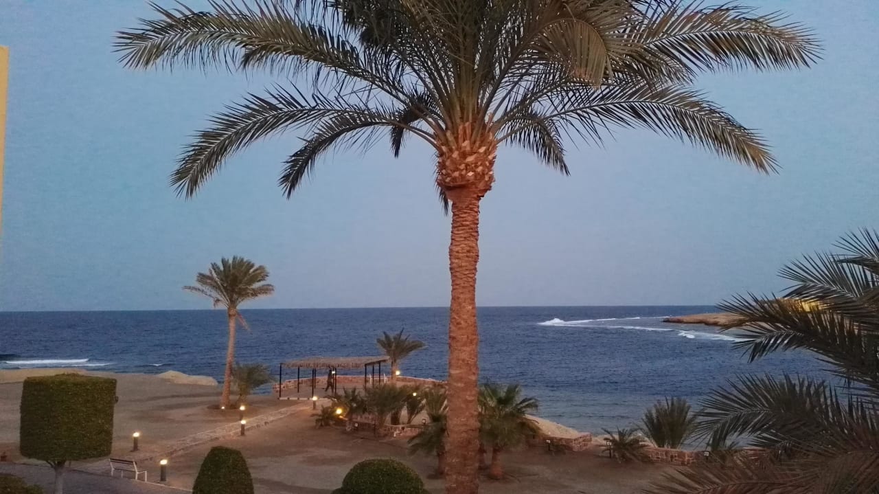 Ausblick Steigenberger Coraya Beach - Adults only