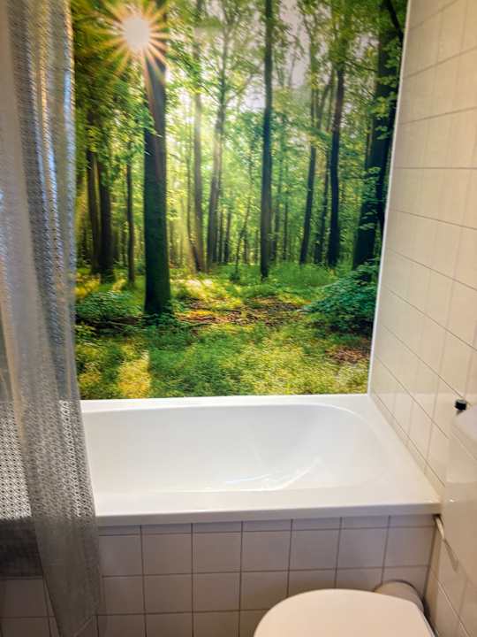 Zimmer Landal Heideheuvel
