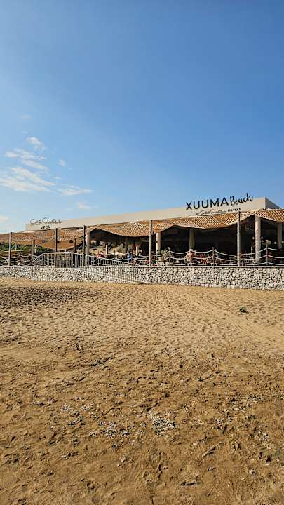 Strand Seashell Vega