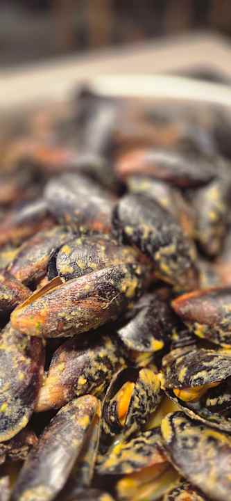 Gastro Hotel Best Semiramis