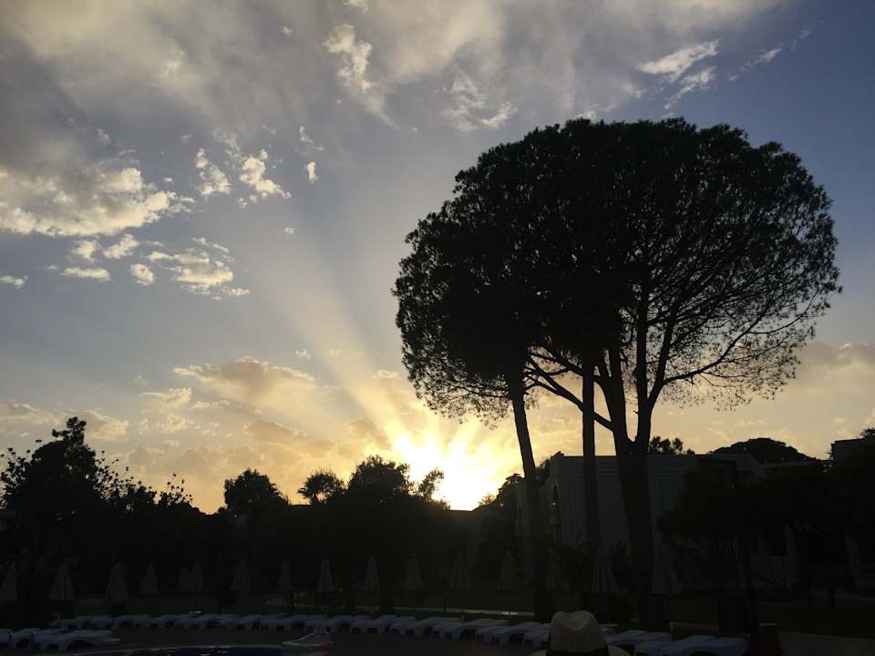 Gartenanlage Asteria Venus Didim
