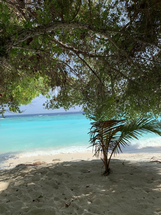 Strand Adaaran Select Meedhupparu Island Resort - Premium All Inclusive